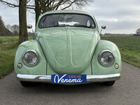 Thumb Image 1